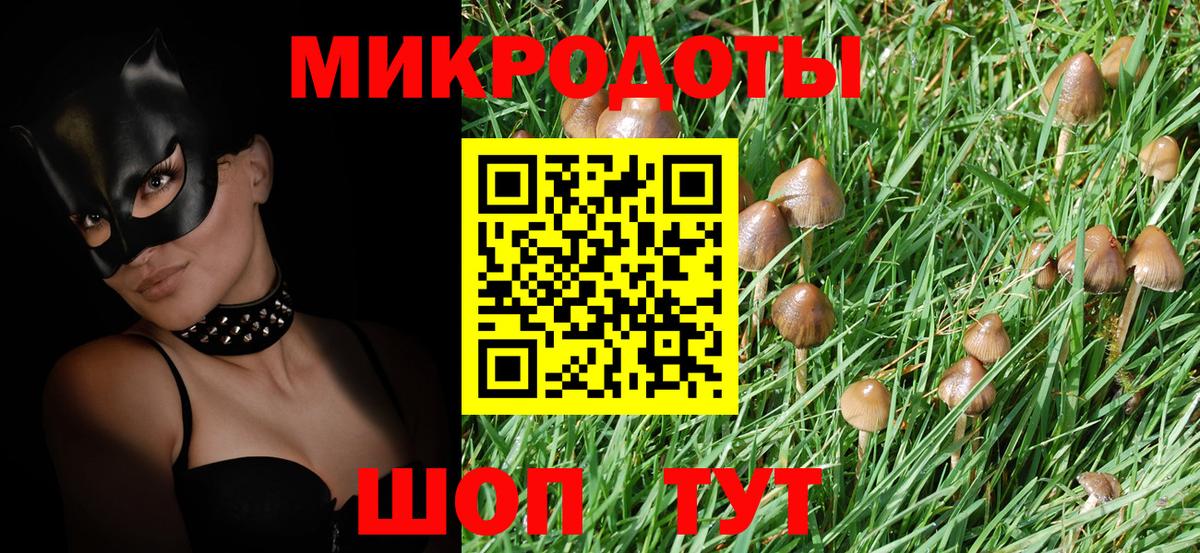 Избербаш  Псилоцибиновые грибы прущие грибы  Вход с VPN 